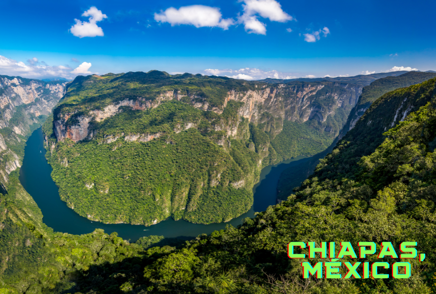 Chiapas, ecosistema cafetalero emblemático .